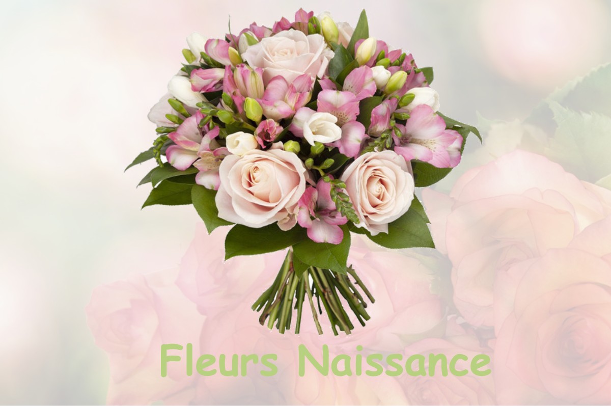 fleurs naissance CAMPS-LA-SOURCE