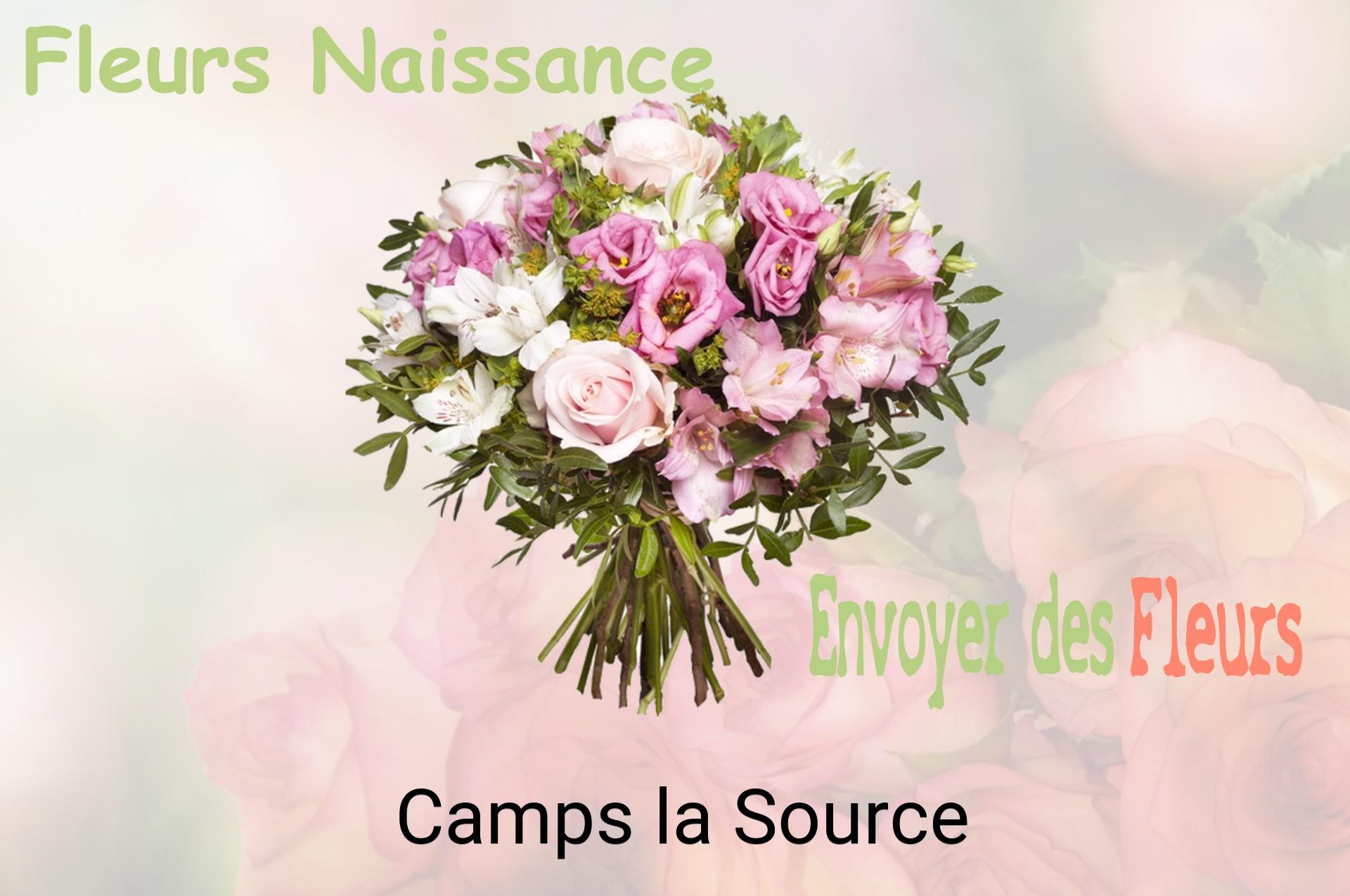 Bouquet de fleurs de naissance livré à Camps-la-Source