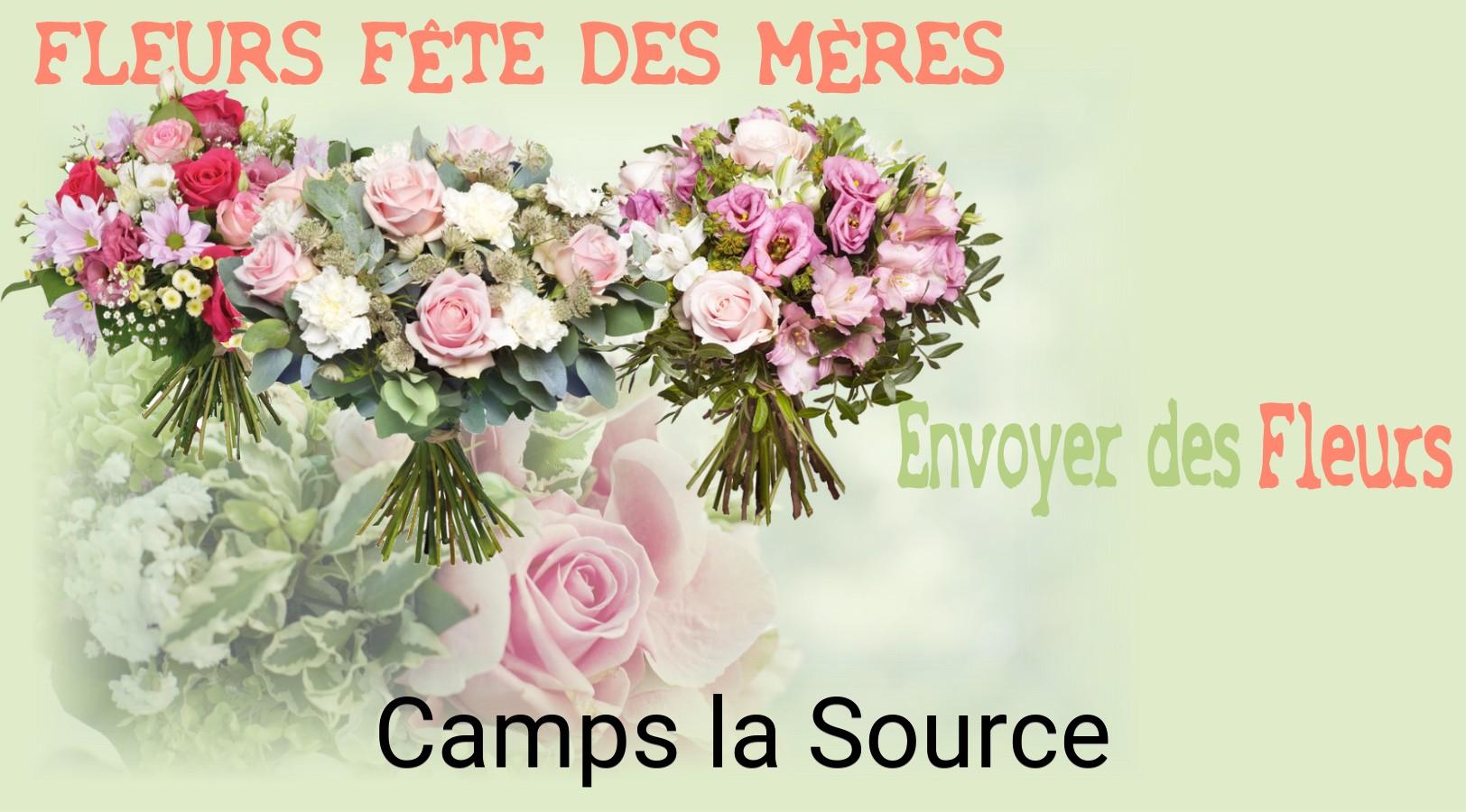 Bouquet de Fête des Mères livré à Camps-la-Source